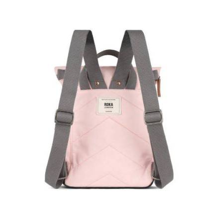Canfield B English Rose Bacl.JPG